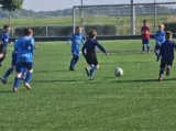 S.K.N.W.K. JO9-1 - ST FC De Westhoek '20/Z.S.C. '62 JO9-3 (competitie) 2024-2025 (4e fase) (23/48)